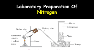 نتیجه جستجوی لغت [nitrogen] در گوگل