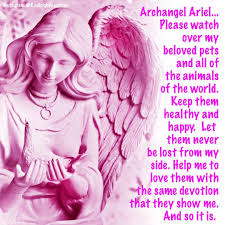 Radleigh Valentine On Instagram Archangel Ariel Is Known For Protecting The Beloved Animals Of The Earth She Res Archangels Angel Prayers Radleigh Valentine