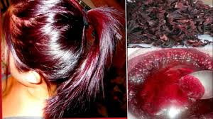 Combine 1 cup of henna powder with 2 cups of lemon juice. How To Colour Your Hair Naturally At Home Turn Gray Hair Into Brown Meroon In 2 Hour Youtube