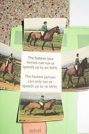 Maybe you would like to learn more about one of these? 18 Referat Pferde Ideen Referat Pferde Lapbook Vorlagen