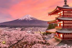 Sakura`s tiring sunday 28.04.1998, 25 мин. Agents Can Discover Japan With Narat Travelpress