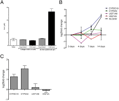 The appearance of these waveforms should be recognized, and the mechanisms. Plos One Human Liver Infection In A Dish Easy To Build 3d Liver Models For Studying Microbial Infection