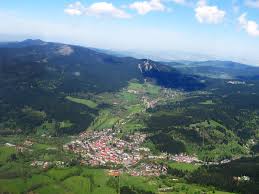 The parts that grow above the ground and the oil are used to make medicine. Zelezna Ruda Wikipedia