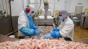 Crevettes Rappelées! Vérifiez si Vos Achats Sont Concernés!