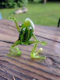 Image result for glass frog