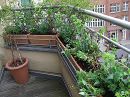 Der richtige pflanzabstand für den apfelbaum. Kleinen Balkon Gestalten Ideen Zur Verschonerung Bauen De