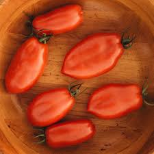 Image result for tomato San Marzano