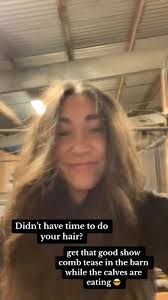 Cattle Showing Hairstyles for Humans