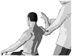 Image result for Shoulder Apprehension Test
