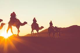 For example, the proxy parameters for an environment is always going to be the same. Morning Desert Safari Dubai Morning Camel Trekking 40 Off