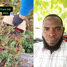 Moun satin bon mwen yo mwen salye nou, nan ti video sa genyen anpil moun ki  se tomat gen moun ki sa seriz genyen lòt ki sa chadròn eske se vwe? Kite sa  liye a pou mwen nan seksyon komantè a silvouplè. ...