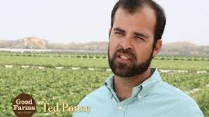 Ted Ponce's Instagram, Twitter & Facebook