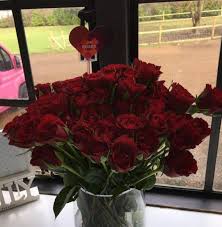 Eine blume mit perfekten linien. Valentinstag So Feiern Die Stars Den Tag Der Liebe Gala De