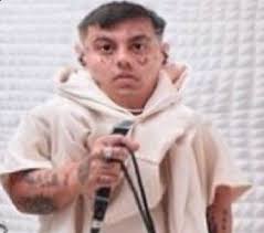 Ethan Noe Mejia Acosta (ethannoem)