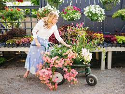 Dreamy Garden Flowers For Spring Planting Project P1 Flower Garden Garden Center Poinsettia Plant