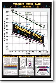 Training Heart Rate Fitness Chart F12