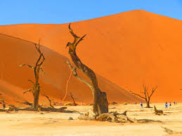 It is described as being yellow, brown with light spots, or black. Namibia S Dramatic South Tripreporter