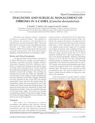 Camel indian camel on wn network delivers the latest videos and editable pages for news & events, including entertainment, music, sports, science and more, sign up and share your the source of this color is: Pdf Diagnosis And Surgical Management Of Fibroma In A Camel Camelus Dromedarius