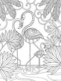 Use these images to quickly print coloring pages. Flamingos Coloring Pages Animal Printable Sheets Flamingos Birds 16 2021 2147 Coloring4free Coloring4free Com