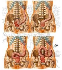 Anatomy of deep anal fisting - Sex archive. Comments: 3