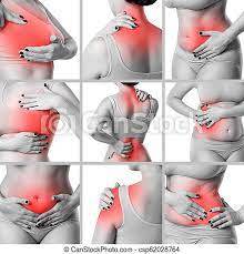 Like other parts of our body bones keep changing all the time. Pain In Different Woman S Body Parts Chronic Diseases Of The Female Body Collage Of Several Photos Isolated On White Canstock