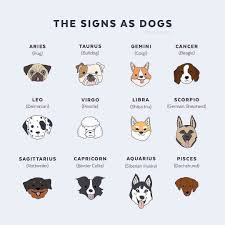 Pin By Mandy Shoemaker On Hush Puppies Zodiac Signs Aquarius Zodiac Signs Animals Zodiac Signs Funny