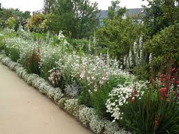 Many of our flowering garden hedges offer nectar and pollen to bees, whilst any of our berrying garden hedge varieties are a food source to an array of different birds. Free Photo Flowering Hedge Flowering Flowers Hedge Free Download Jooinn