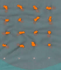 Constructive Conversations Deconstruction And Reconstruction In Contemporary Craft And Design Brisbane Art Contemporary Crafts Craft Show Ideas Crafts