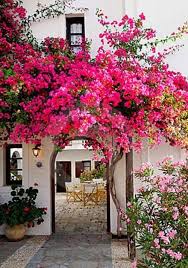 Pin By Outdoor Space On Natuur Beautiful Gardens Garden Design Bougainvillea