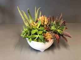 Succulents provide beautiful plants with leaves in a range of colors. Small Succulent Arrangement In Corte Madera Ca Green Bouquet Floral Design
