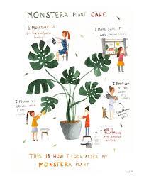 Pin By Hunter Mchugh Smith On Plants Monstera Plant Care Plants Monstera Plant