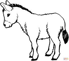 Pin On Animal Coloring Book
