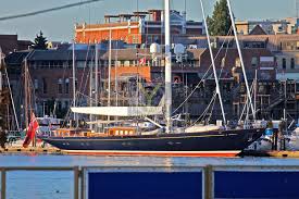 Image result for erica xii