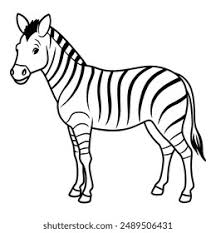 Image result for zebra