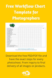 photography workflow chart for overview free download