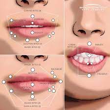 Bodycandy On Instagram Which Piercing Is On Your Wishlist Bodycandy Bodyjewelry Piercings Facia Lip Piercing Earings Piercings Face Piercings