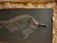 Rox Herrenberg Ausflug Aussenwand Aussen