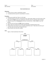 shoe classification lab