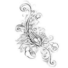 For our passionate, loyal and powerful friends born under the scorpio sign, nothing gets the point across better than a tattoo defining yourself as your spirit animal — the scorpio. Cute Girly Scorpion Tattoo Design Scorpion Tattoo Zodiac Tattoos Scorpio Zodiac Tattoos