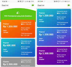 Kasus pinjaman online tidak dibayar merupakan hal yang tergolong sering terjadi. 24 Pinjaman Online Tidak Dibayar Info Dana Tunai