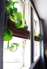 Hanging Flower Boxes In Windows Hung By Rope Cheap And Cute Window Plants Hanging Plants Plants