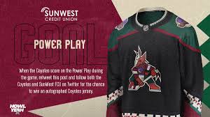 If you don't love the coyotes kachina jerseys (used in 2015 as their throwback design, making them literally the coolest looking throwback team ever), your opinions are probably wrong. Arizona Coyotes On Twitter Want This Kachina Jersey Rt And Follow Us Sunwestfcu For The Chance To Win