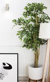 Si Vous Avez Un Doute Faites Semblant Feuille De Monstre Et Arbre D Ikea Quand Je Dis Que J Ai Un Amour Plante Verte Interieur Fausse Plante Plante Monstera