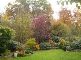 Langsam werden die tage spürbar kälter, insbesondere die nächte können im oktober schon richtig eisig werden. Unser Garten Im Oktober Foto Bild Jahreszeiten Herbst Natur Bilder Auf Fotocommunity
