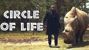 The Lion King Circle Of Life Alex Boye Ft Alisha Popat Lemarti Disney Songs Circle Of Life Lion King