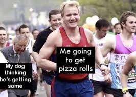 65 Funny Memes And Fresh Pics To Get The Weekend Started Really Funny Memes Funny Relatable Memes Really Funny