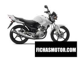 Latest price of honda cg 125 special edition 2021 in pakistan. Yamaha Ybr 125 2010 Technisches Datenblatt Und Spezifikationen