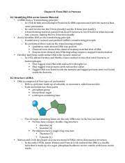 Each amino acid is delivered to the ribosome by a transfer rna molecule depending on the code in the messenger rna. Chapter 8 Notes Pdf Chapter 8 From Dna To Proteins 8 1 Identifying Dna As The Genetic Material U2022 Griffith Finds A U201ctransforming Principle U201d O In Course Hero