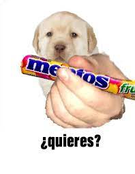 Quieres Quieres