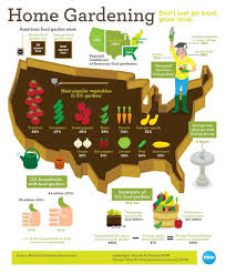Birdies Raised Garden Beds Instructions Infographic Home Gardening In The U S Gardening Infographic Food Garden Infographic